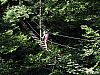 IMG_1628.JPG